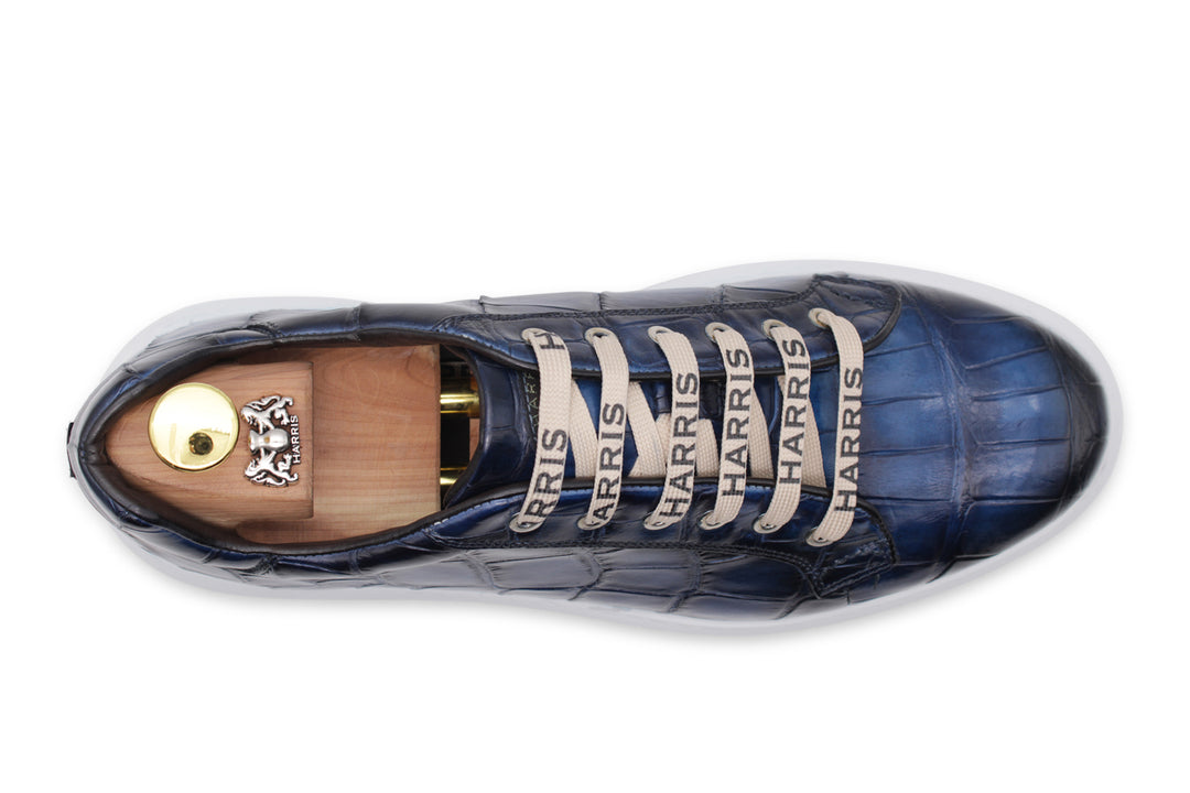 Sneakers in Coccodrillo