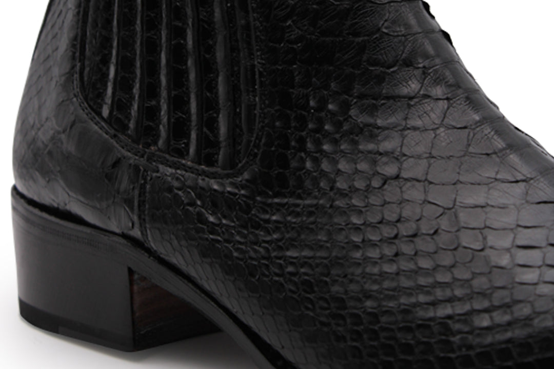 Polacchino texano pitone