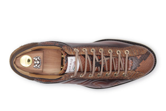 2817 HS Python sneakers – Brown
