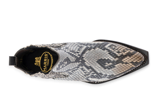 Polacchino texano pitone